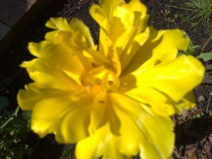 khalid.m@hotmail.co.uk