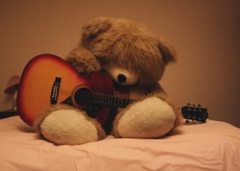 Meri Saanse Teri Amaanat