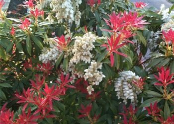 Pyar Tujhe Bhi Hai Hum Se !!!