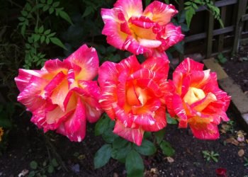 Jab Yaad Ka Qissa Kholoun tau !!!