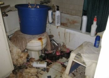 Sorry About the Mess