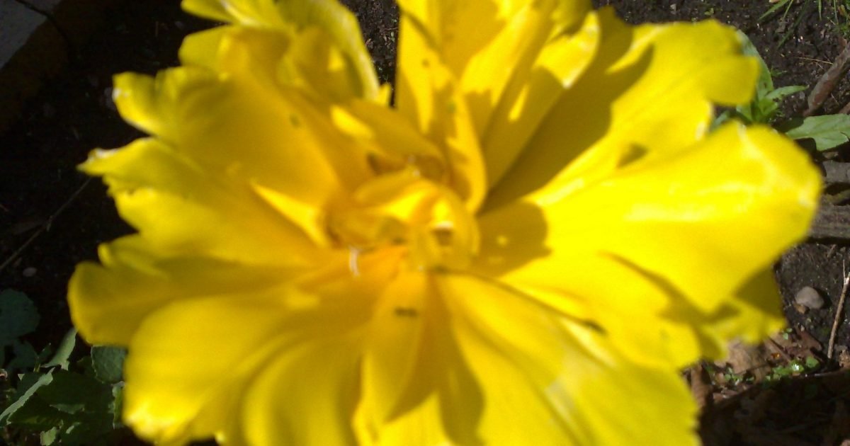 khalid.m@hotmail.co.uk