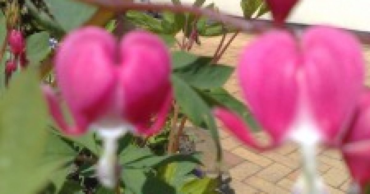 140520081443-225x300