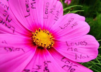 Love doesn’t need reasons.